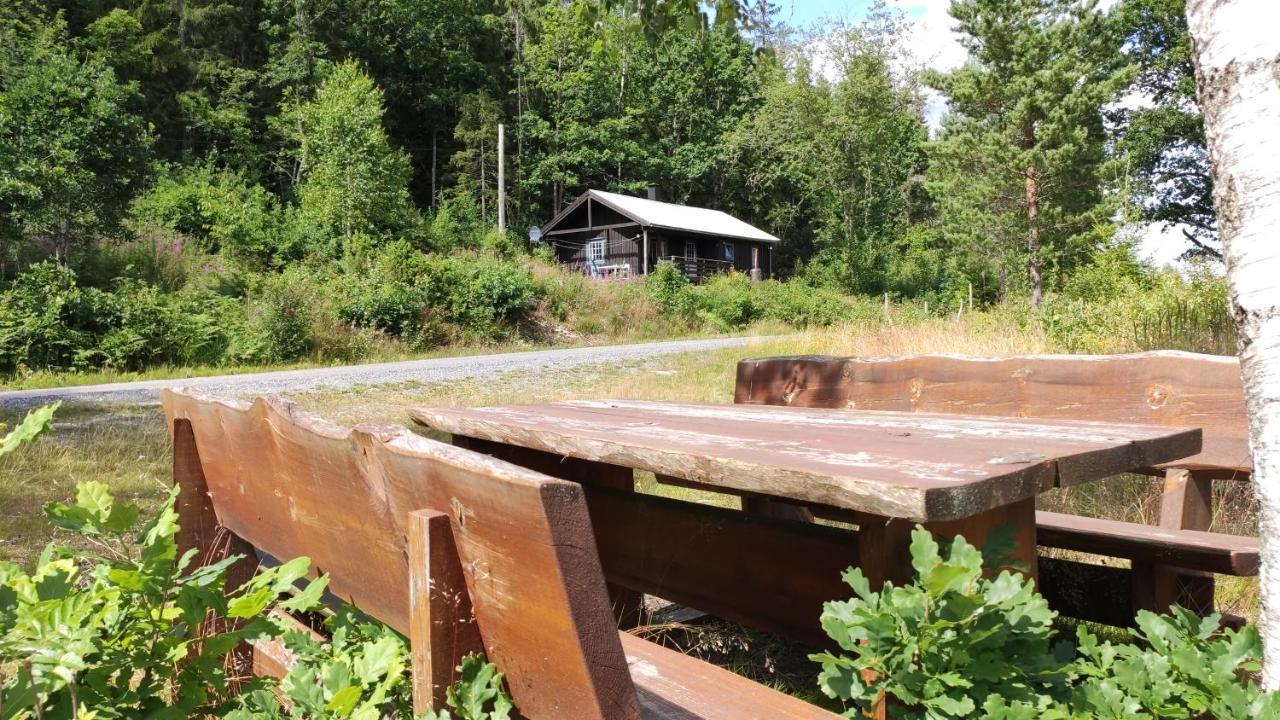 Solheim. Hytte Med 2 Soverom Birkenes Esterno foto